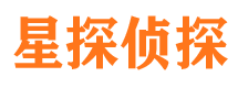 南海市调查公司